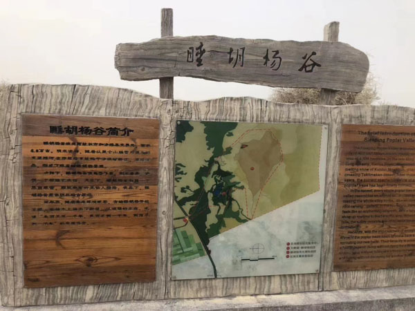 婚姻家庭纠纷中存在的常见问题有哪些？深圳找离婚的律师带您了解