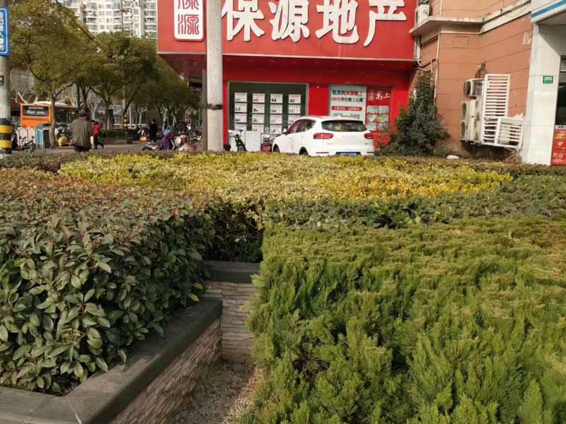 深圳离婚律师咨询来讲讲被诱使脱离监护的限制民事行为能力人侵权责任如何