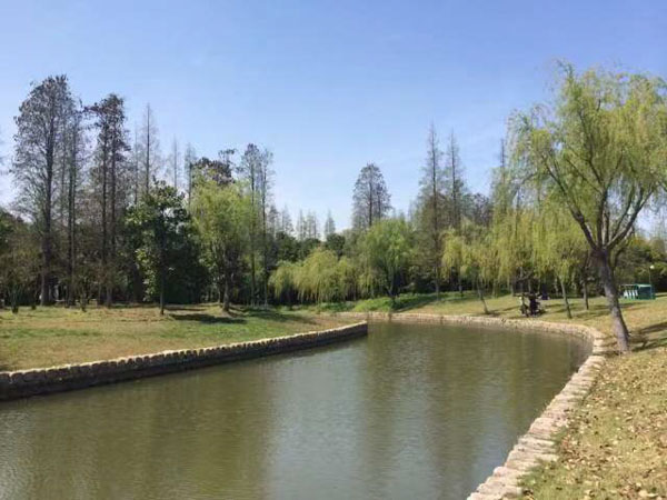 深圳婚姻家庭律师来讲讲婚姻契约能否为家庭提供保障